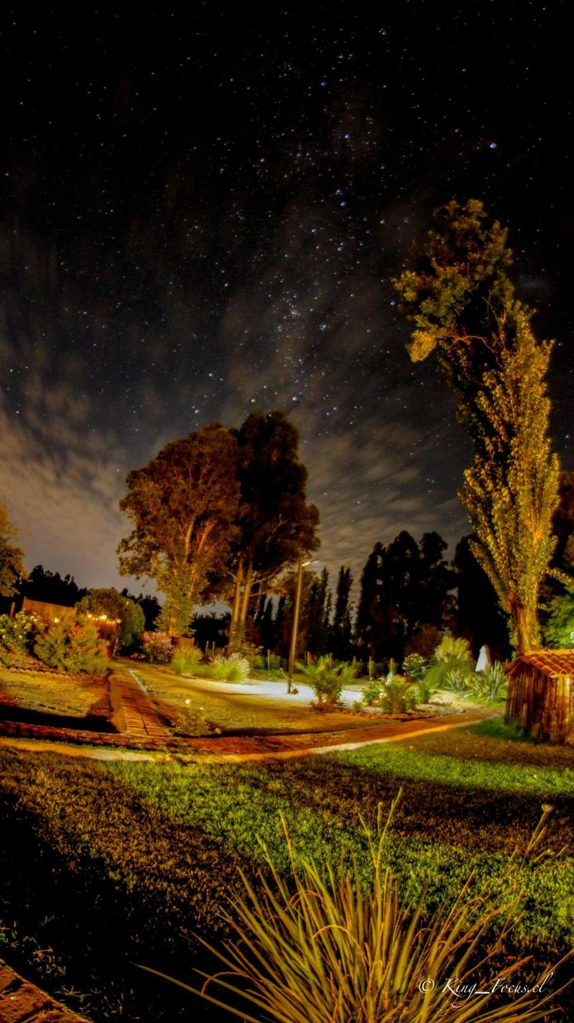 Hotel Boutique Raices De Colchagua Santa Cruz Exterior photo
